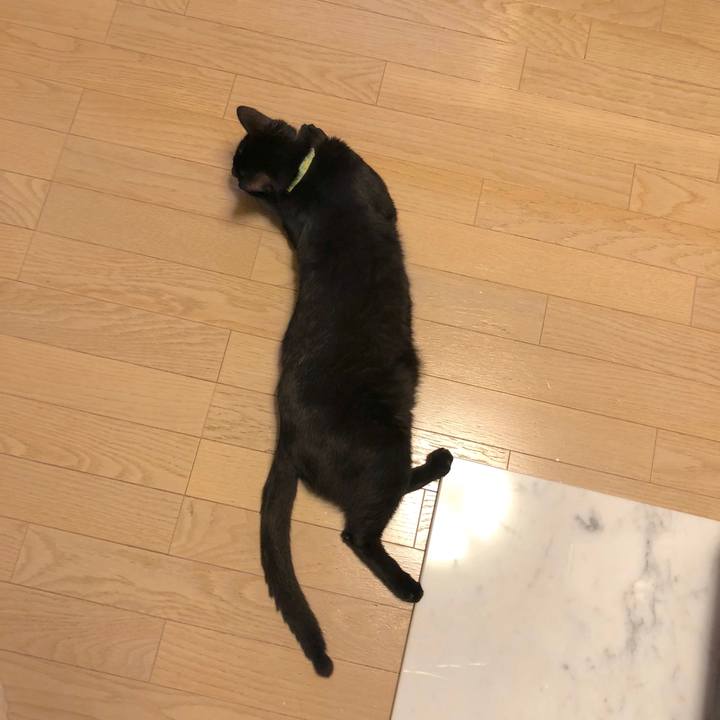 Dc5d9b91 c42f 4e50 8722 373f4454d7c6 1528454460948