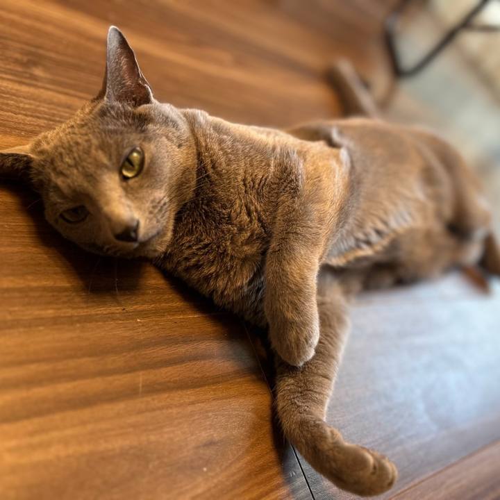 Dc5da9a2 69fd 44cb 9f42 1bc7ff5b6c66 1745499953313