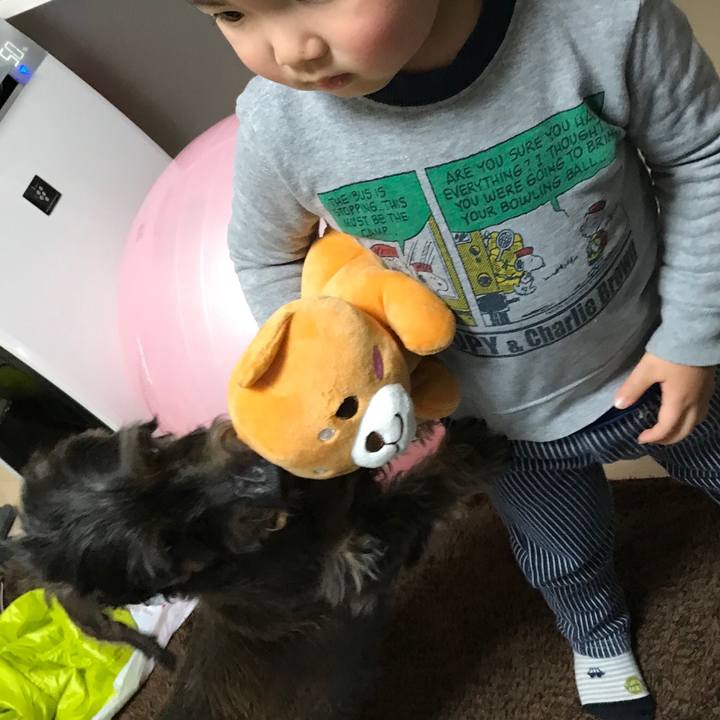 Dc5dafb7 ce32 4c7f b56f 9fc9dbfa5d06 1549110479274