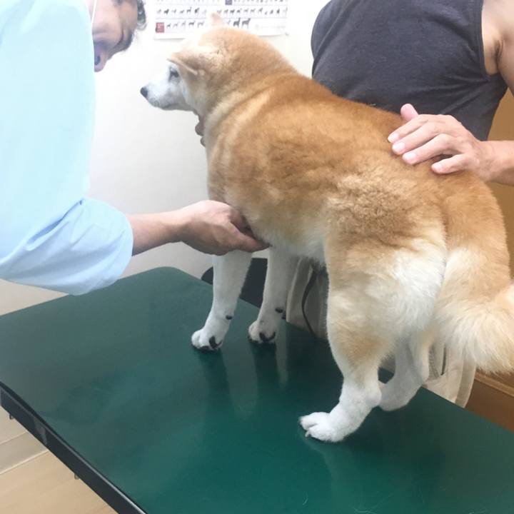 Dc5dba02 84d4 43dd 9f23 b383b79f3f9e 1535112934717