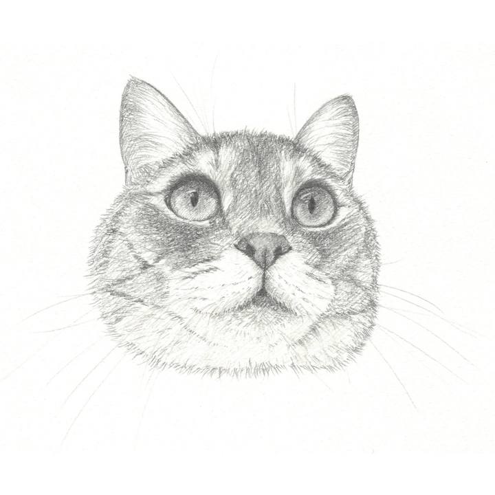 Dc5dca96 78a6 4400 9e05 1fb16eb055bf 1543673532844