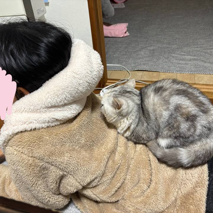 Dc5dd12d 1150 4953 a648 ec3905375d8a 1738849198522