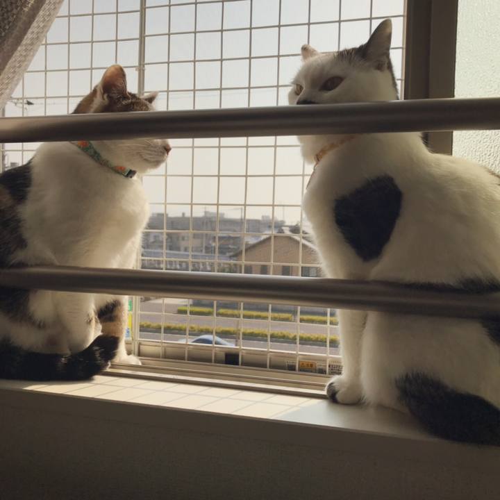 Dc5dd14c 5b77 471c ae34 224ae54330a6 1554606419417