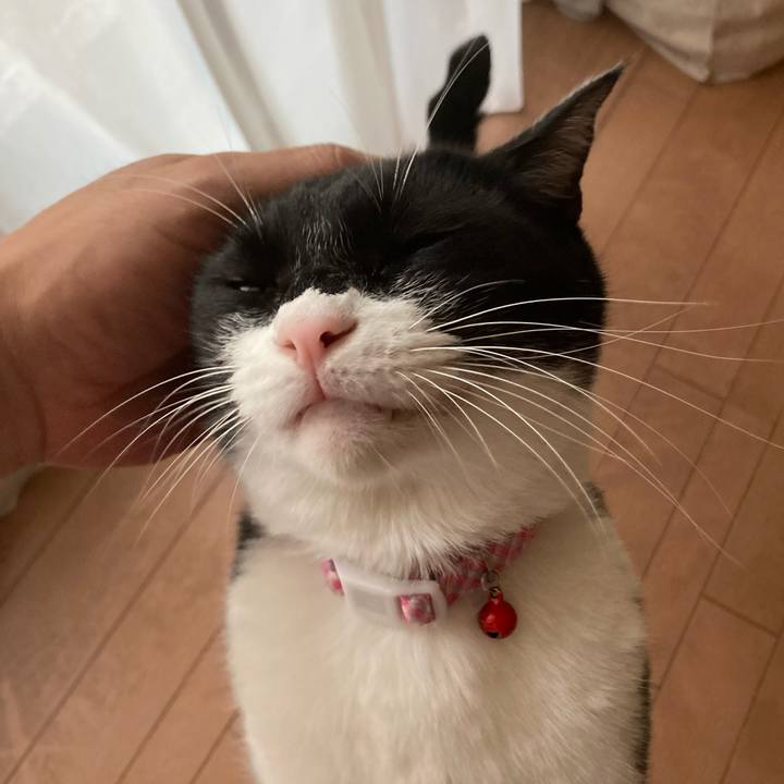 Dc5e4e5d fa8b 435c bba0 e201958e43d9 1628493807104