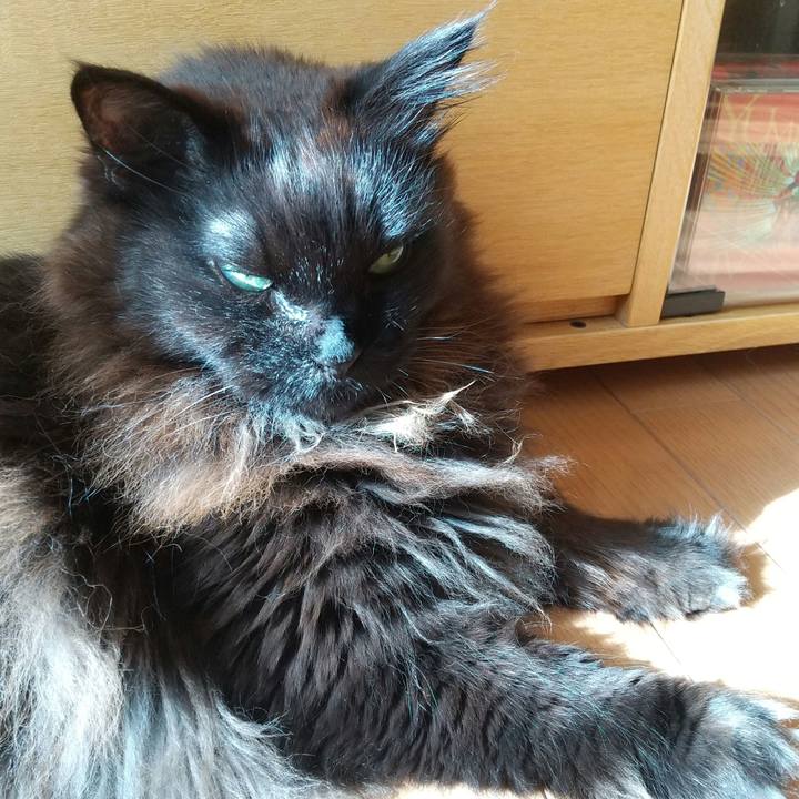 Dc5e57e7 b3df 4e81 be99 ee2bb7e480b6 1706581983666