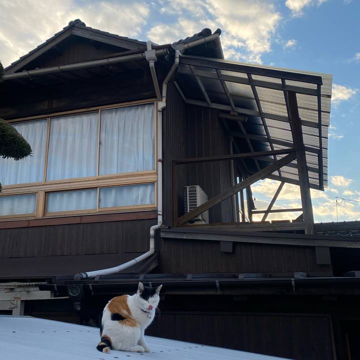 Dc5e7580 cc55 4560 9503 2fe63ebb57e5 1641079174329