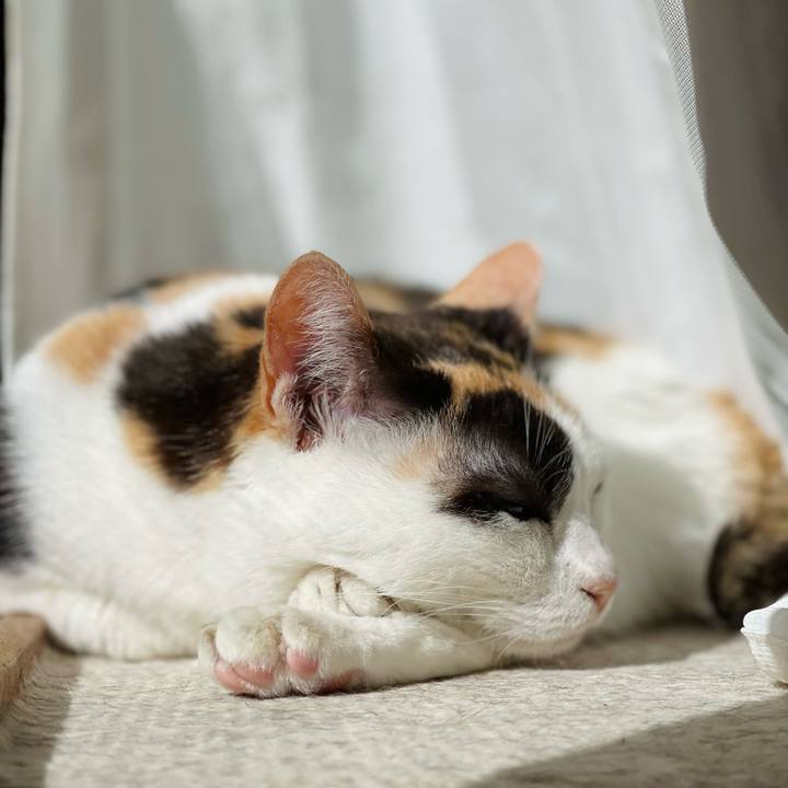 Dc5ea6c6 1a6e 4caa 8fa7 cee7fc2ca5c2 1648774087944