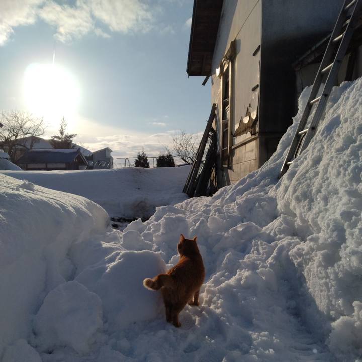 Dc5eb36c a38b 4ad5 ad8b 9fc6462dd2e7 1740470417676