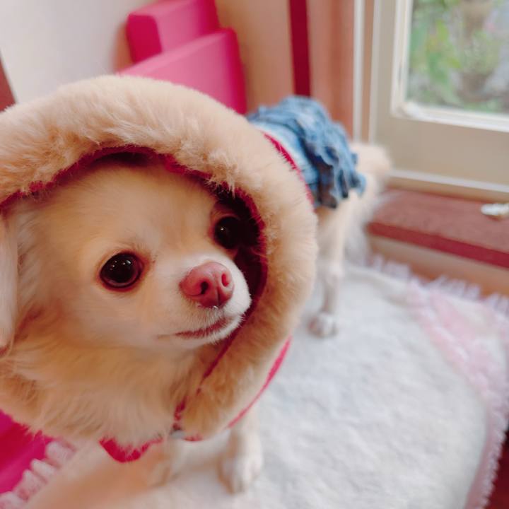 Dc5f0f93 08bf 44bf b6ed 58f2316f9134 1702811122652