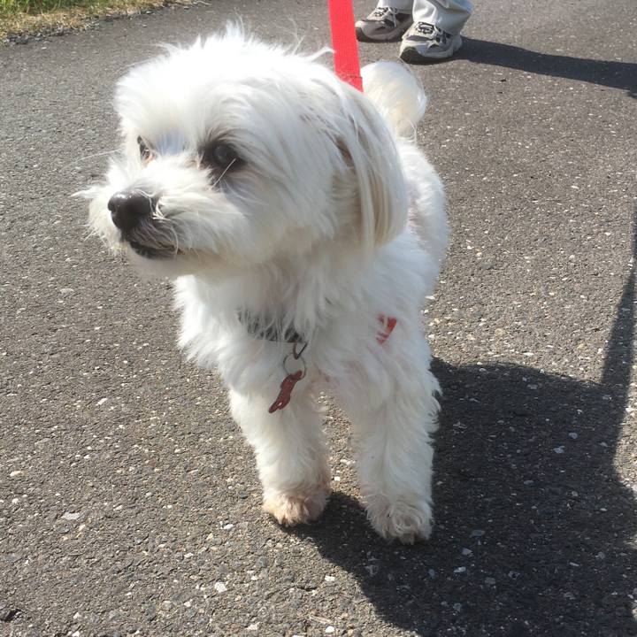 Dc5f3887 cc95 42b2 be9f 6f5bb4b1be22 1524361231120