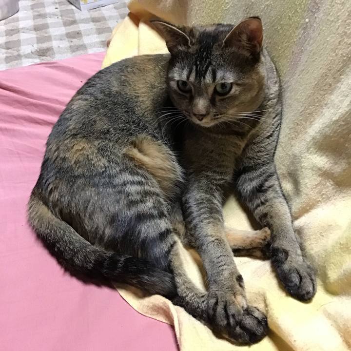 Dc5f61b6 df79 4570 95aa 4096bd3e083b 1676119188528