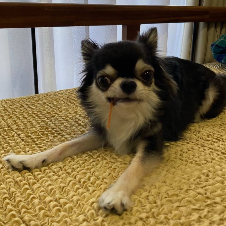 Dc5f74ec cd9a 43f6 b85d 993bbbd57612 1660316542916