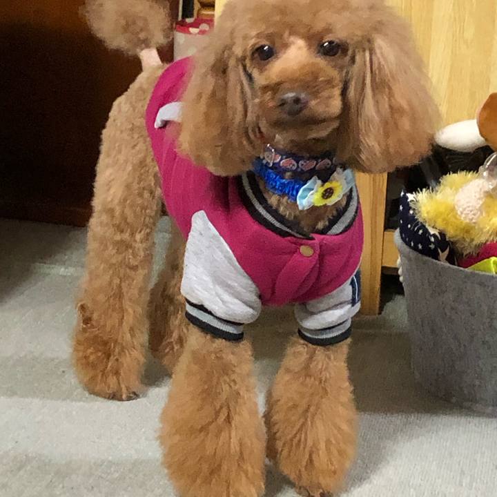 Dc5f8d27 6211 4547 91c6 4d118b9daff5 1582451769491