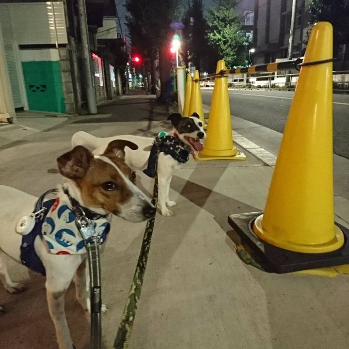 Dc5fb4e5 9fcf 4d3f ab93 b06a92265f16 1532430919867