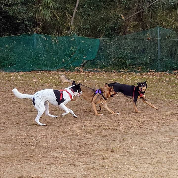 Dc6029ac 1313 48c8 b686 b61a3239e09f 1704255622901