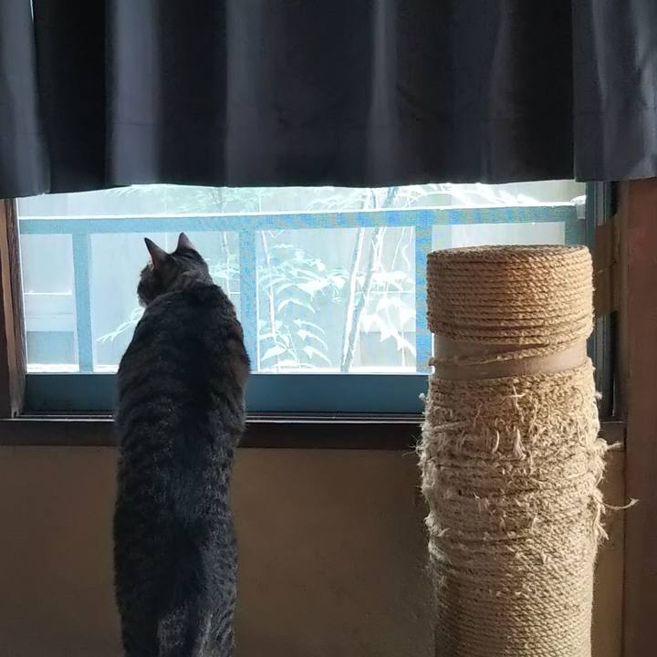 Dc602a14 b8a5 446d 918e 025b204231c4 1600856827748