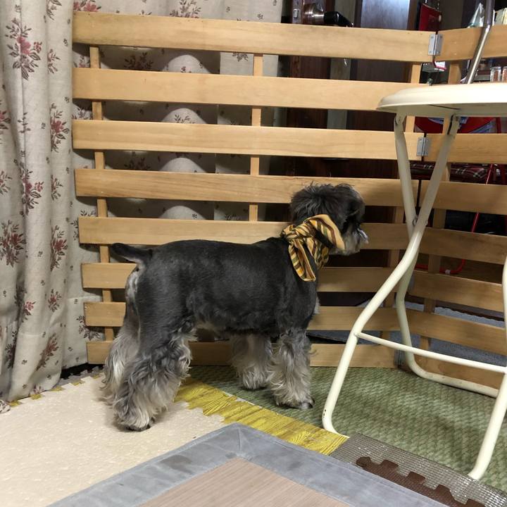 Dc602bae 551e 4a0f 8e19 77919bf77ab5 1656594321838