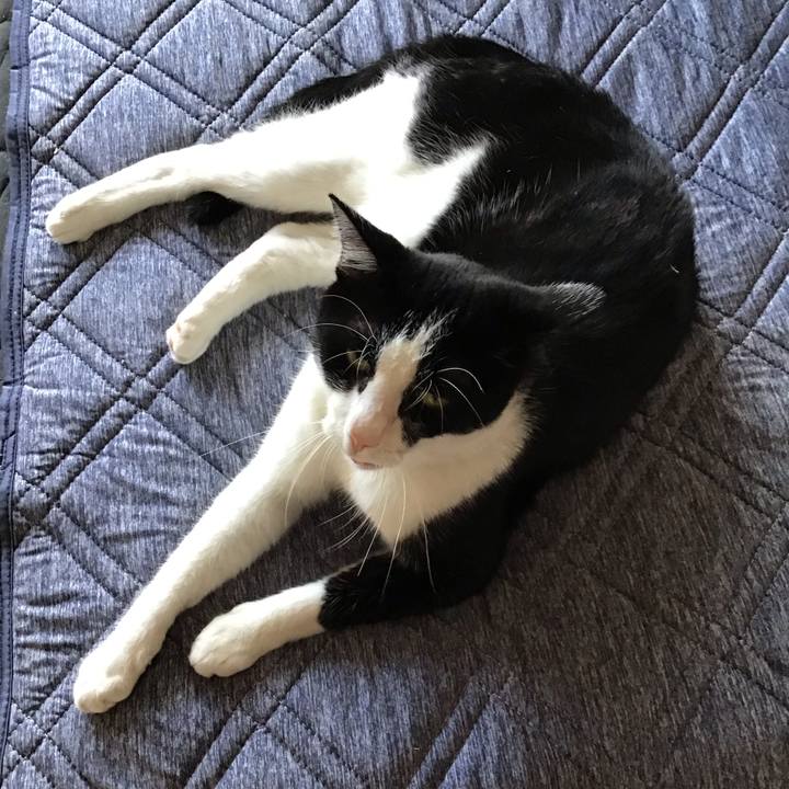 Dc602d03 bc47 432b 8f5f 62a96e794ab5 1692785048252