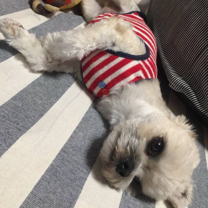 Dc606805 8a72 4504 9ba9 a88b2e4ef7be 1525955128980