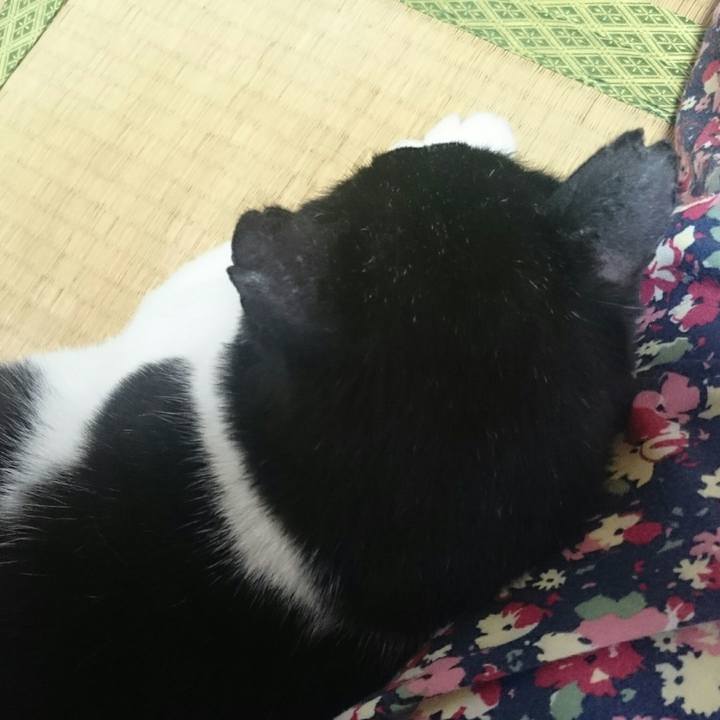 Dc60732a b9c0 4d74 a9cb bca1fcc9d6b4 1524961051149