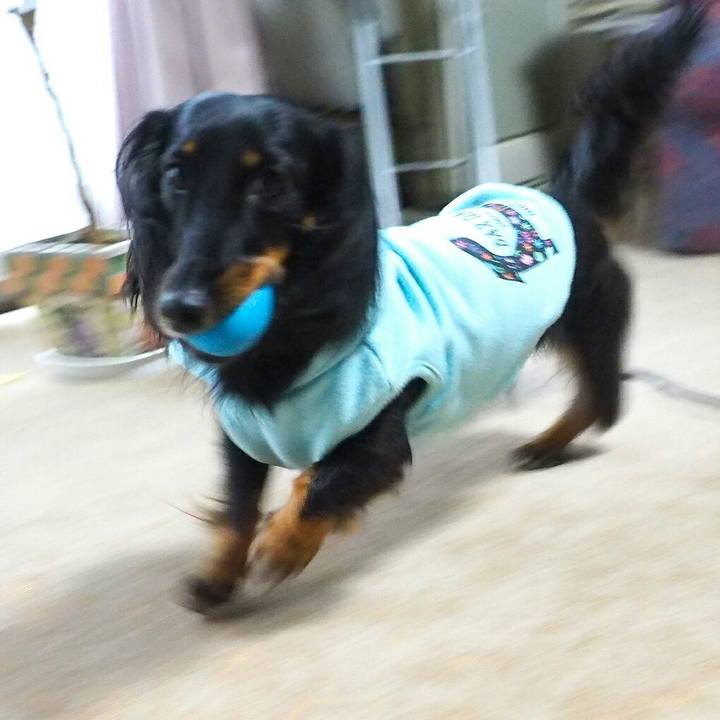 Dc6077ec cbc3 4671 be3d da0ec01a01c0 1508123107376