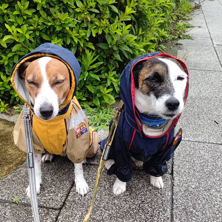 Dc607dee c21e 4bf4 87e9 6edb086fcc2d 1686525833510