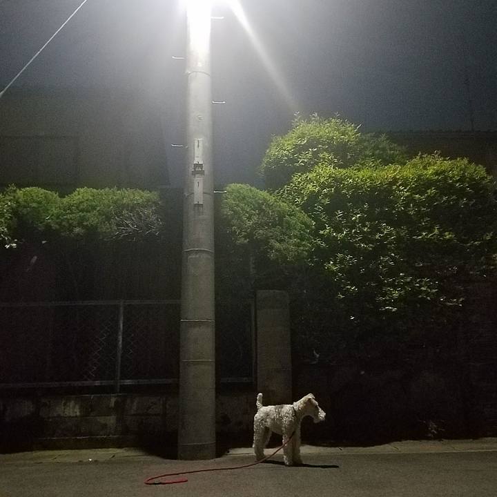 Dc60878d a0b1 4a89 a63c 577665a83941 1525005838208