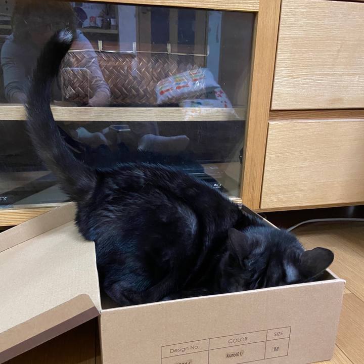 Dc60aab4 2e7c 4a96 9116 8c3c3cbb88e5 1604891140393