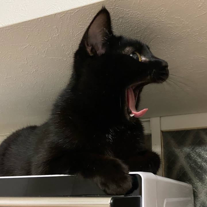 Dc60b33b 4385 4c75 8ddd 81462ecd46c0 1633604664333