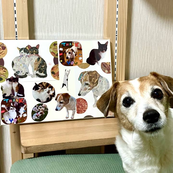 Dc60c26c 1521 4599 a509 9acbcfe47515 1716213301073