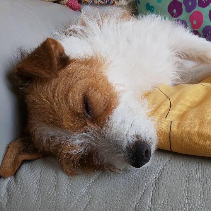 Dc60d966 924f 47df 80c2 abc334f0cd84 1564375622583