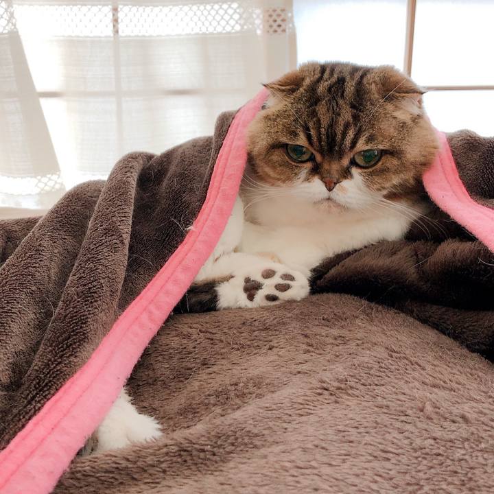 Dc60dc8d 9f76 46d4 ac82 87075b2b05a2 1587008431577