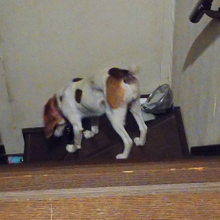 Dc611b36 3f3c 4fb5 8a3a 16e06e1b127b 1589211175630