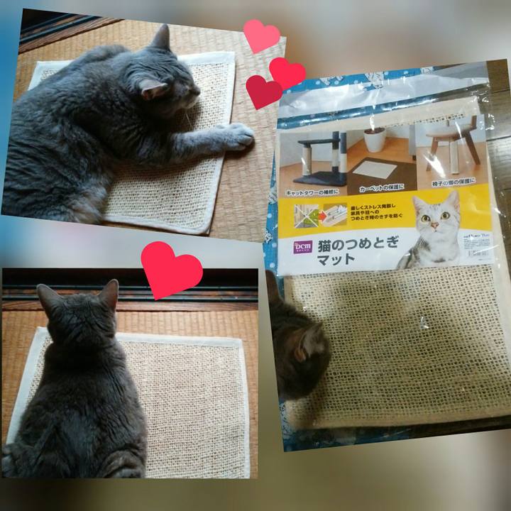 Dc612f01 646f 4f32 b8ef f859f3a1fc17 1561715744390