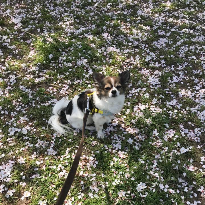 Dc613329 71ab 4a99 a96e 4c00bdaf1dae 1522292153870