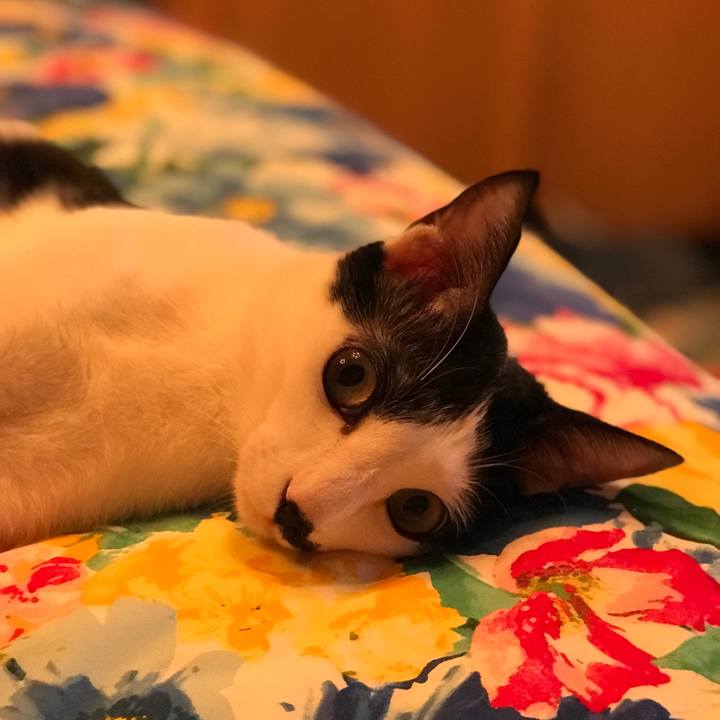 Dc617d83 e67a 4fc4 aee9 d70d945dcef8 1520305682134