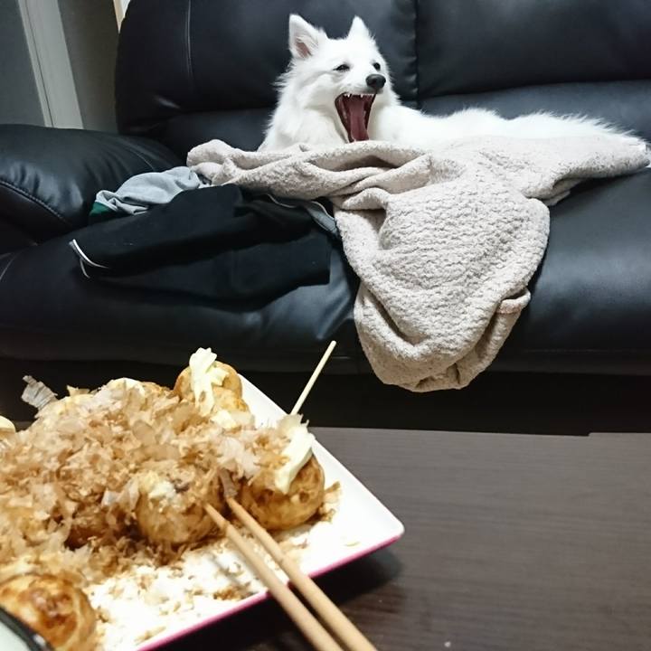 Dc6187dc 8ebd 4c5e 9351 cb0167c7d02a 1519561470945