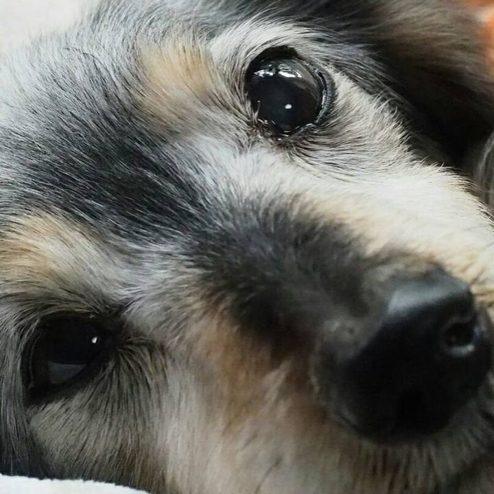 Dc61e7dc 861e 4ec2 93c7 8e6931ac2f95 1523455279863