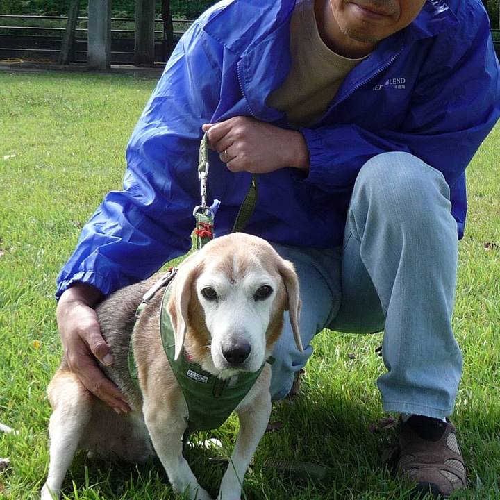 Dc6253bc 62b8 468b b775 d39915de9ab3 1702002853583