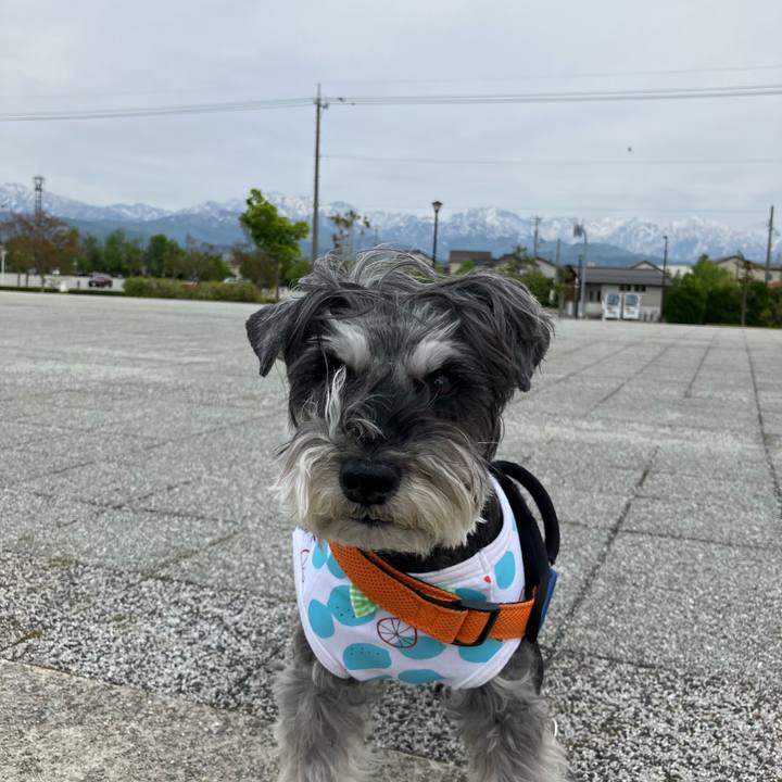 Dc6275bc 0257 4cec 830a ef6582e1ed62 1746451302934