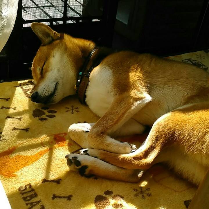 Dc628dba f16c 42a3 9622 0d0124fee9c0 1573704728778