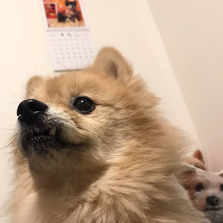 Dc62adcc 1c41 4ad0 9f81 85a8537a1503 1611974424679