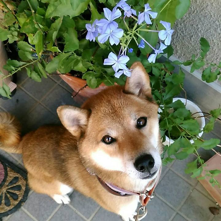 Dc630cd5 05c1 49a6 ad64 5bfa9f5c93f5 1537228281180