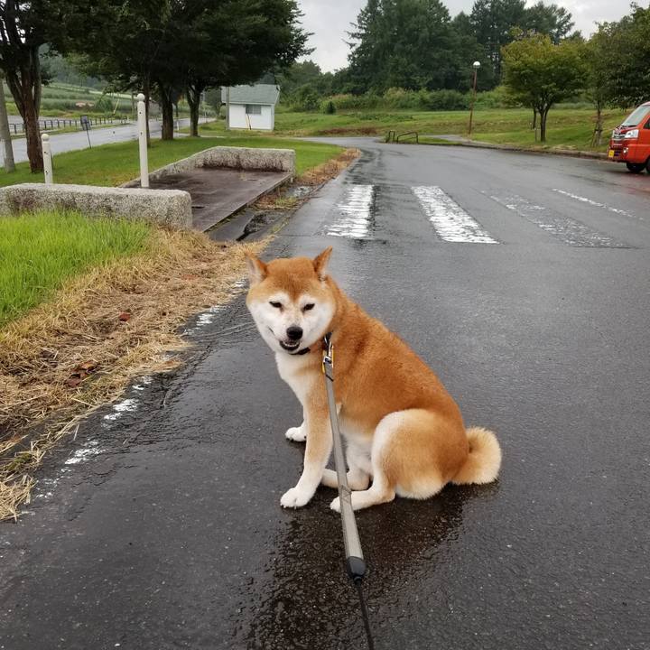 Dc630d2d 0817 49cd bf5f b78b2fcc015c 1568184820429