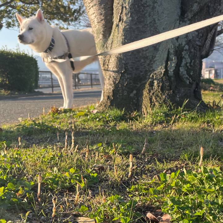 Dc6311e9 c1af 4191 9c44 365e4dceaa01 1677547944166