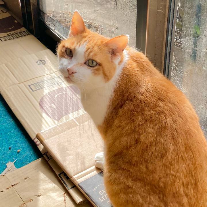 Dc6322a0 6a68 49d1 a0fc 08fac2907a9d 1707781342601