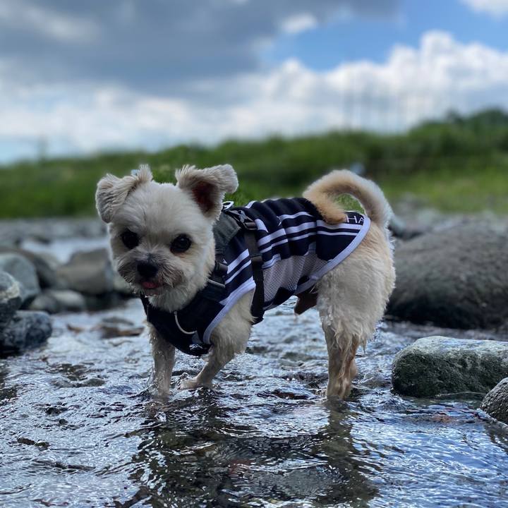 Dc634864 18d4 452c 9cc6 43a183be9ddf 1599286158442