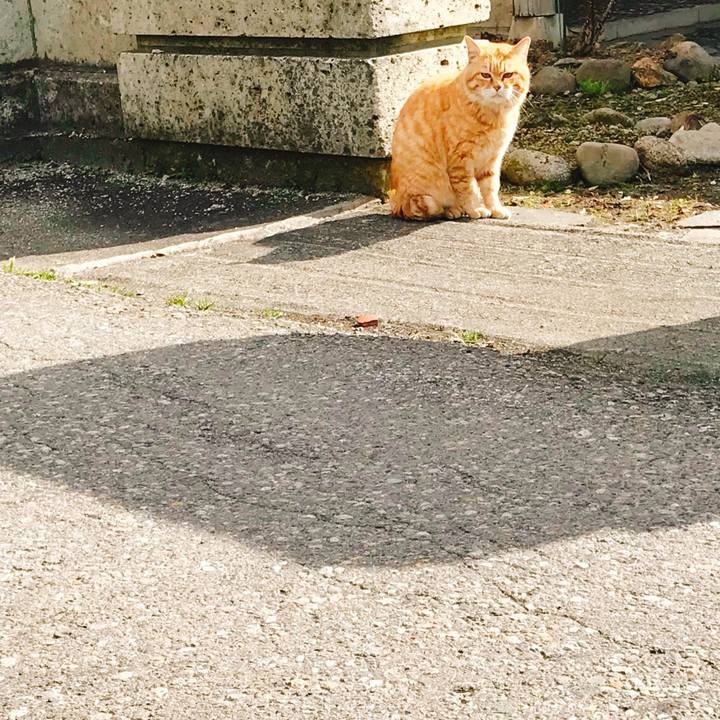 Dc63631d 5efc 4820 aacd 9d3e96cb9a2b 1523576996678