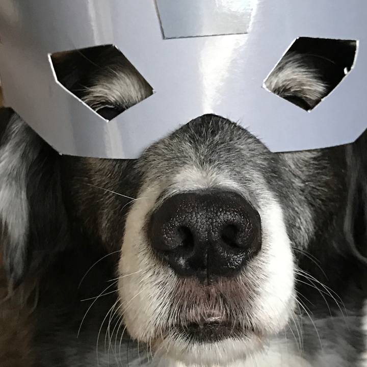 Dc63e84a fe7f 4aa1 92e8 5e5acf760f2f 1523769743587