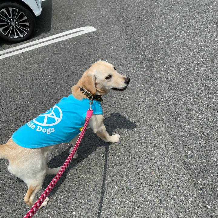 Dc63eafb 9339 4238 a5dc bde97d978ebe 1620690688979